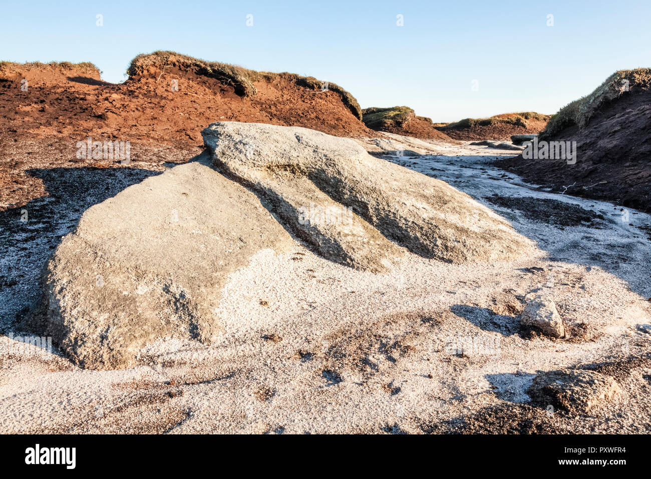 Gritstone in einem Gully, graben oder grough zwischen Torf hags durch Erosion der Moor Torf durch Wasser, Kinder Scout, Peak District, Derbyshire, Großbritannien Stockfoto