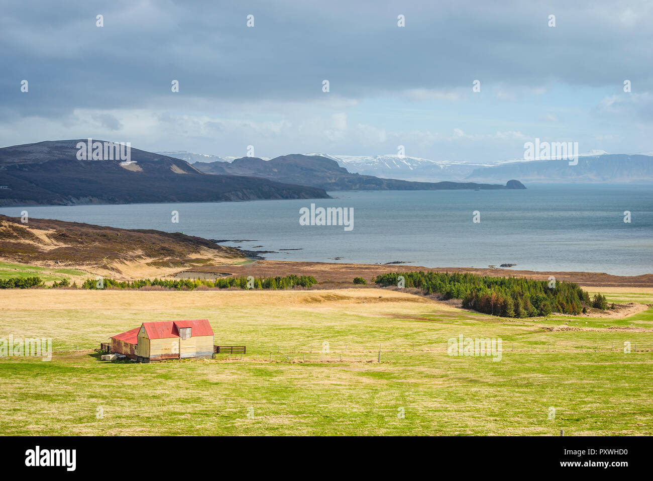 Island, Vestfiroir, verlassenen Bauernhaus auf Wiese Stockfoto