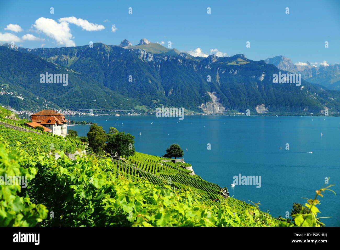 Chexbres, Weinort im Schweizer Kanton Waadt, Schweiz. Wunderschöne Aussicht  auf den Genfer See Stockfotografie - Alamy