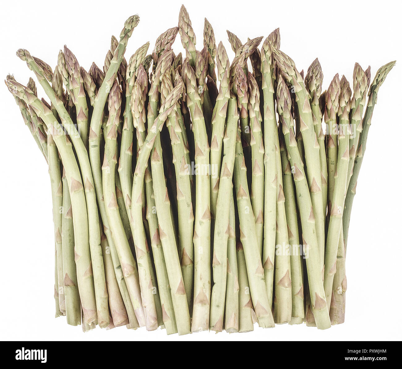 Gruener Spargel Stockfoto