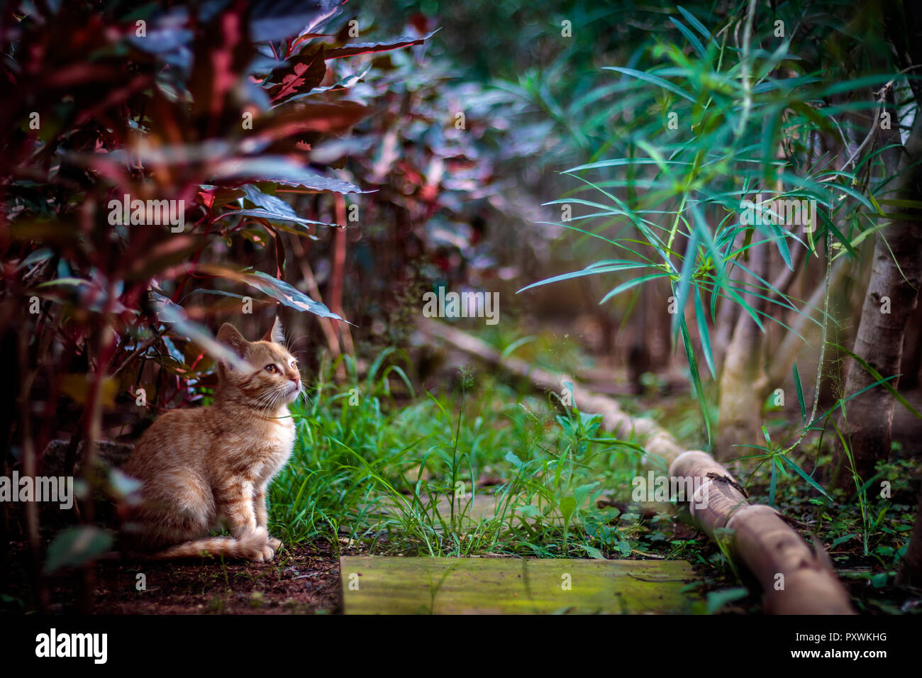 "Halten Sie die Augen öffnen und ihre Füße nach vorn bewegen...'' finden Sie was Sie brauchen!" Stockfoto