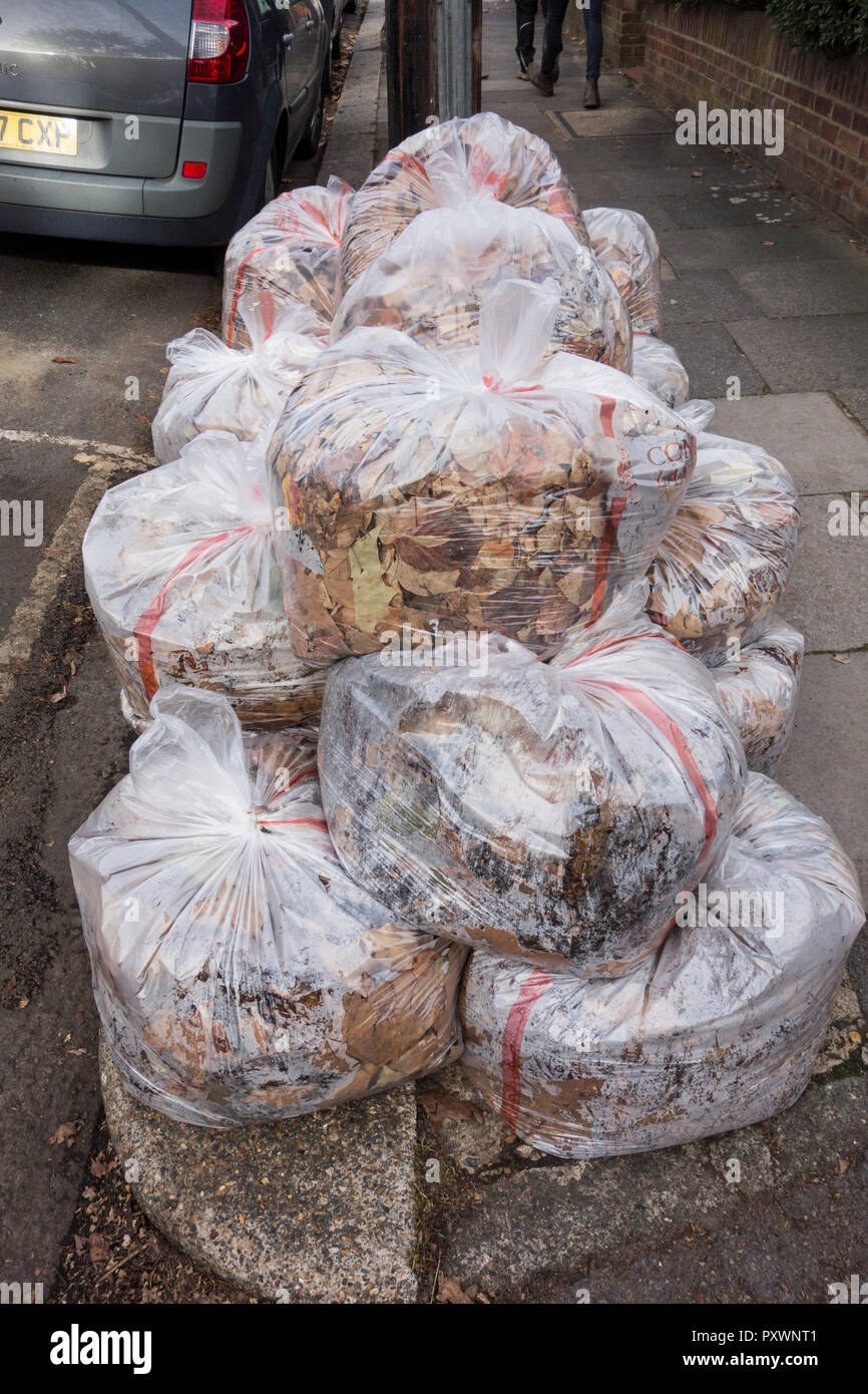 Plastiktüten gefüllt voller gefallener Herbstblätter warten auf Sammlung. Stockfoto