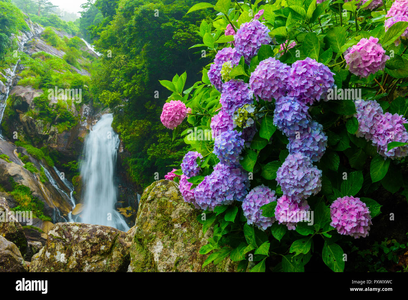 Präfektur Saga, Japan Stockfoto