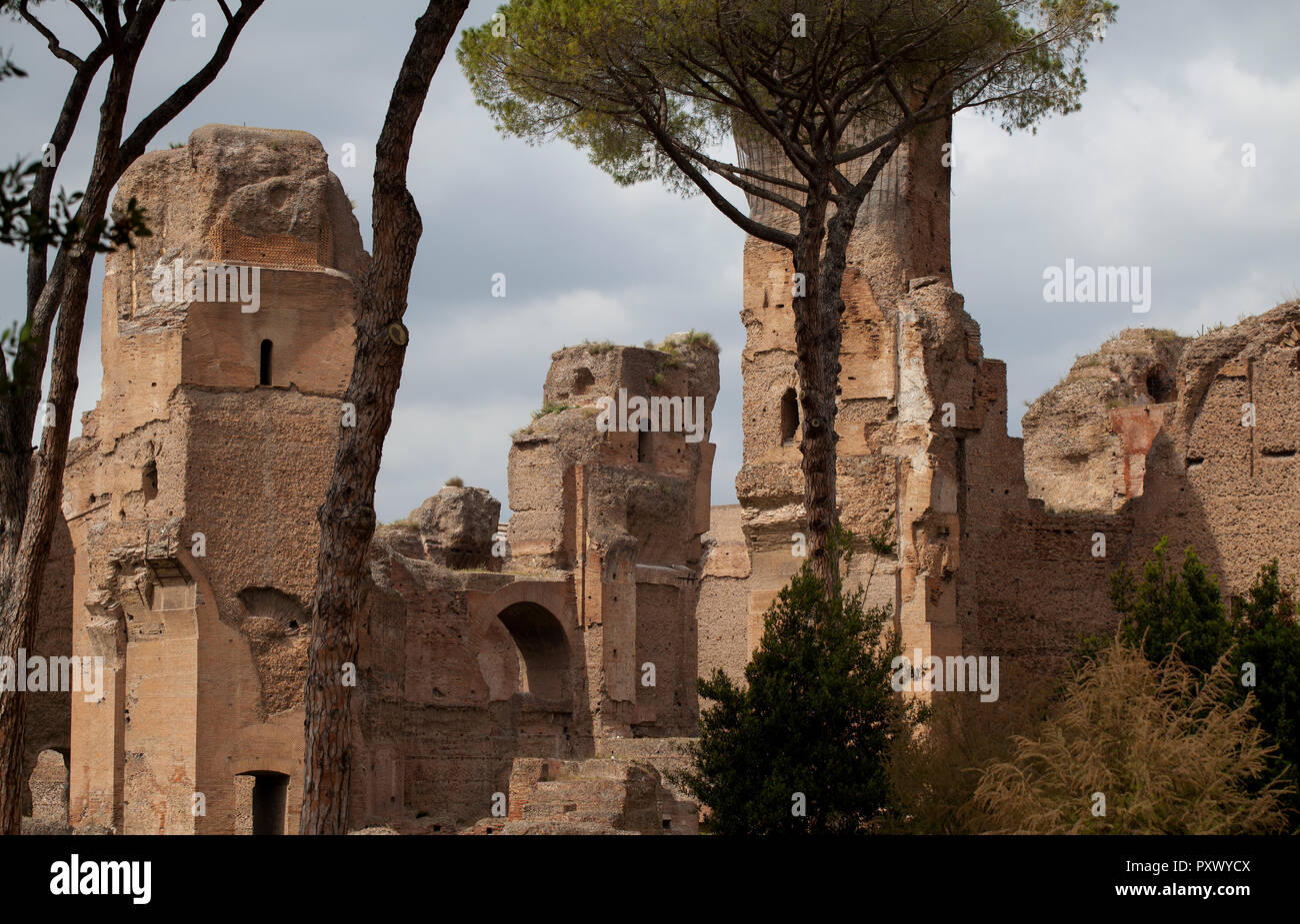 Ein Teil der Ruinen der Bäder von Caracalla, zeigt die massiven alten, gemauerten römischen Mauern und einige der Pinien, die die Seite umrahmen. Stockfoto