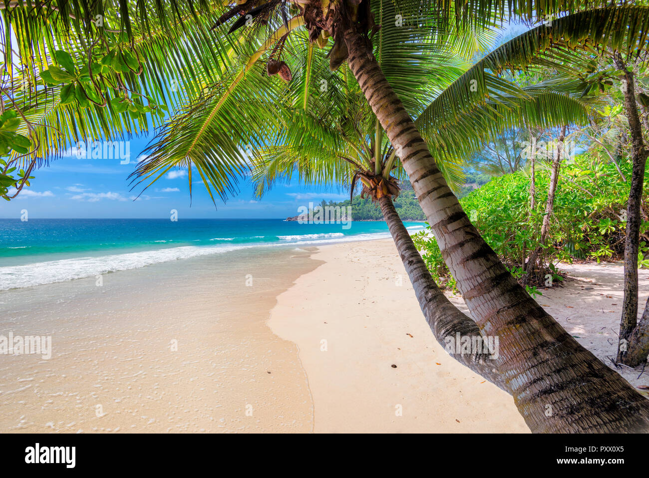 Ferienhäuser Strand mit Palmen und türkisfarbenes Meer Stockfoto Ferienhäuser Strand mit Palmen und türkisfarbenes Meer Stockfoto