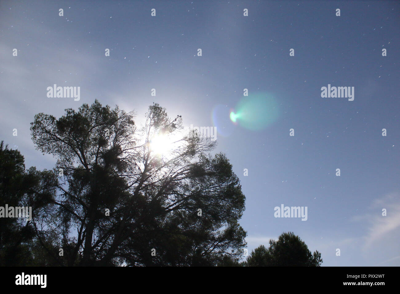 Eine Nacht Landschaft der Aragon Landschaft vom Mondlicht beleuchtet, mit Sterne Wanderwege aufgrund der Exposition und der helle Mond hinter einem Baum, Spanien Stockfoto