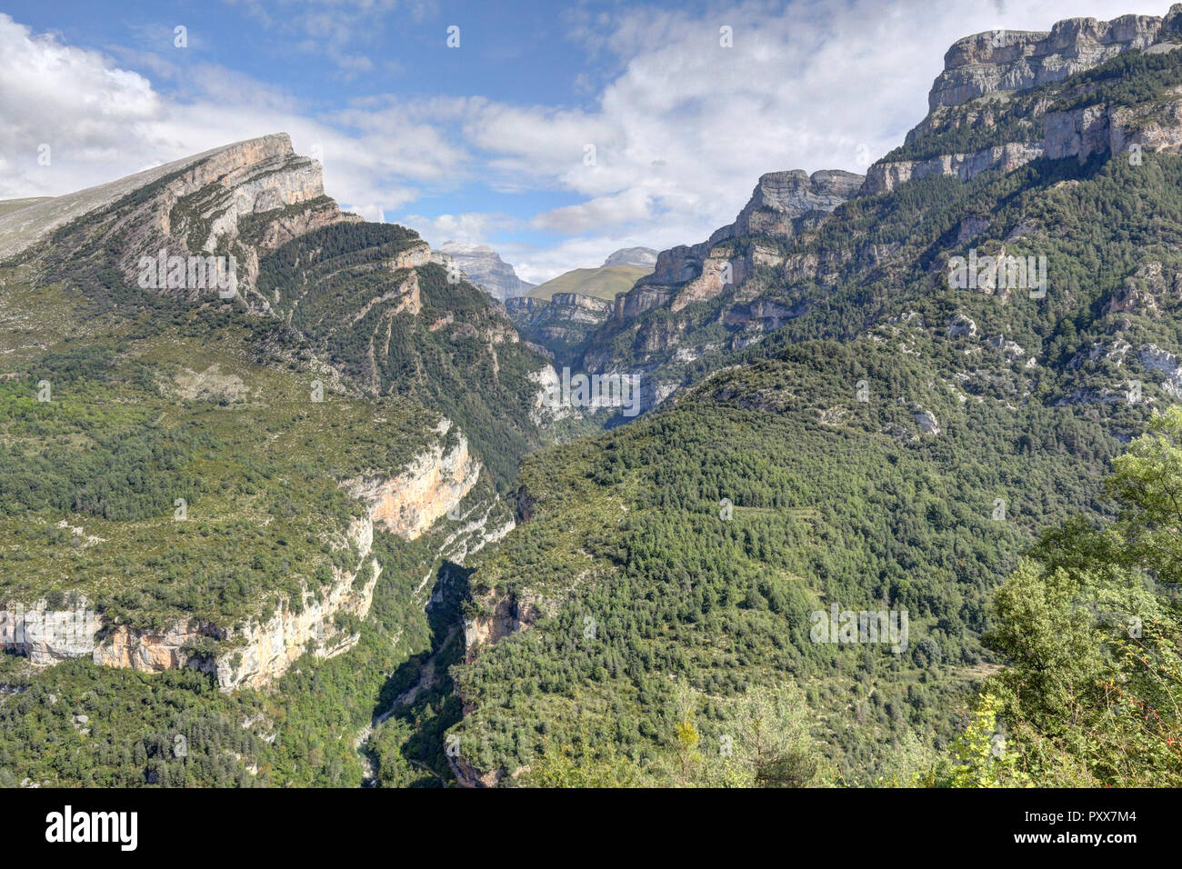 Eine Landschaft von den Eingang der Cañon de Añisclo Tal, mit hohen Bergen, grünen Wäldern und blauen Himmel, in den Pyrenäen, Aragon, Spanien Stockfoto