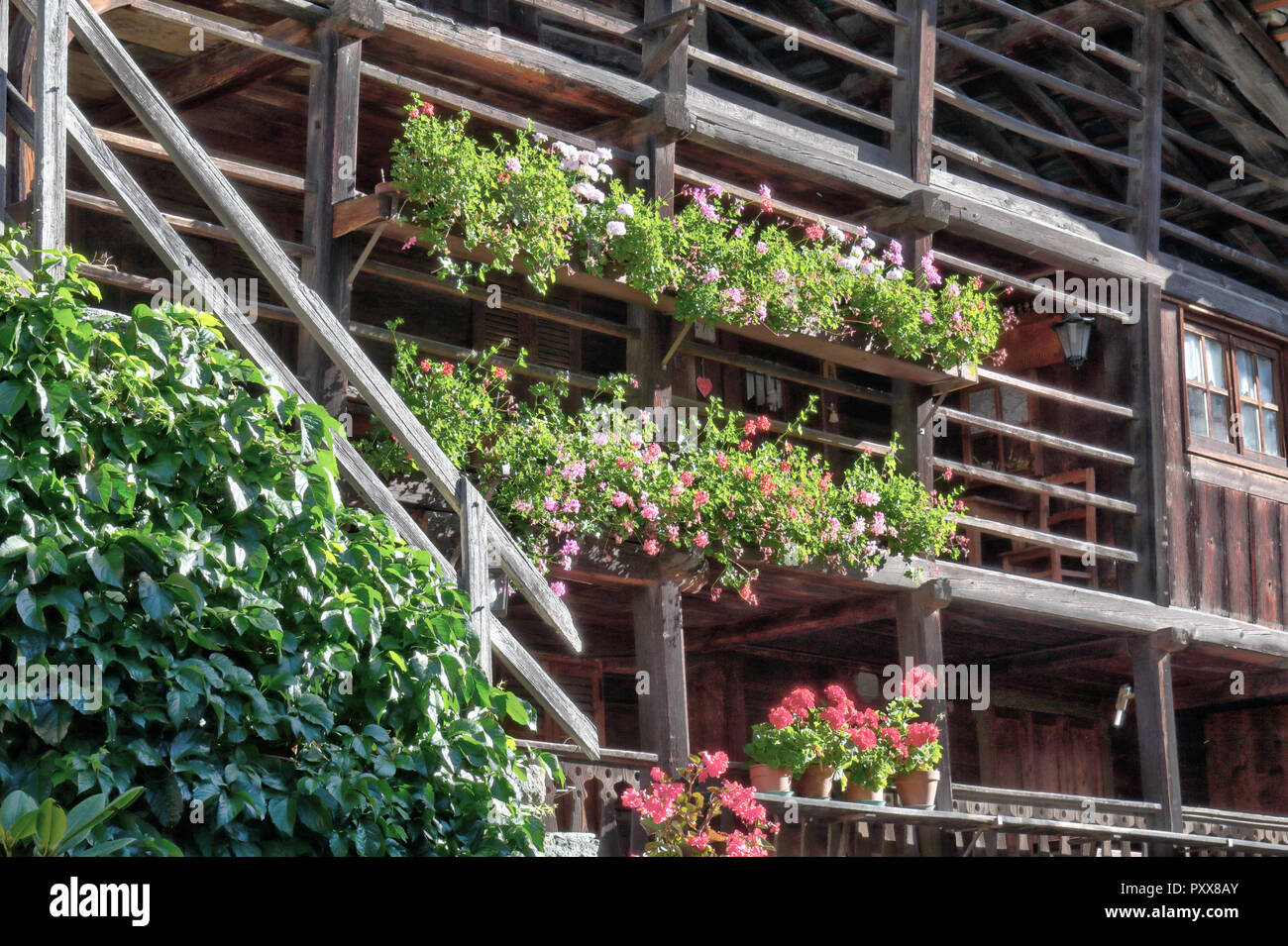 Eine typische Walser Lodge, aus Stein und mit hölzernen Balkonen mit Blumen Pflanzer und Treppenhaus, in Val d'Otro Tal, Alpen, Italien Stockfoto