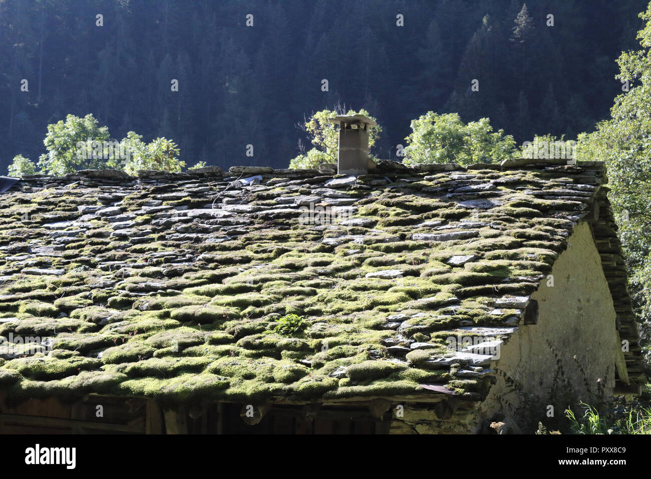Eine typische ländliche Lodge Dach mit Moos und Flechten fallen, Fliesen, der an einem sonnigen Sommer in den Alpen Piemont, Italien Stockfoto