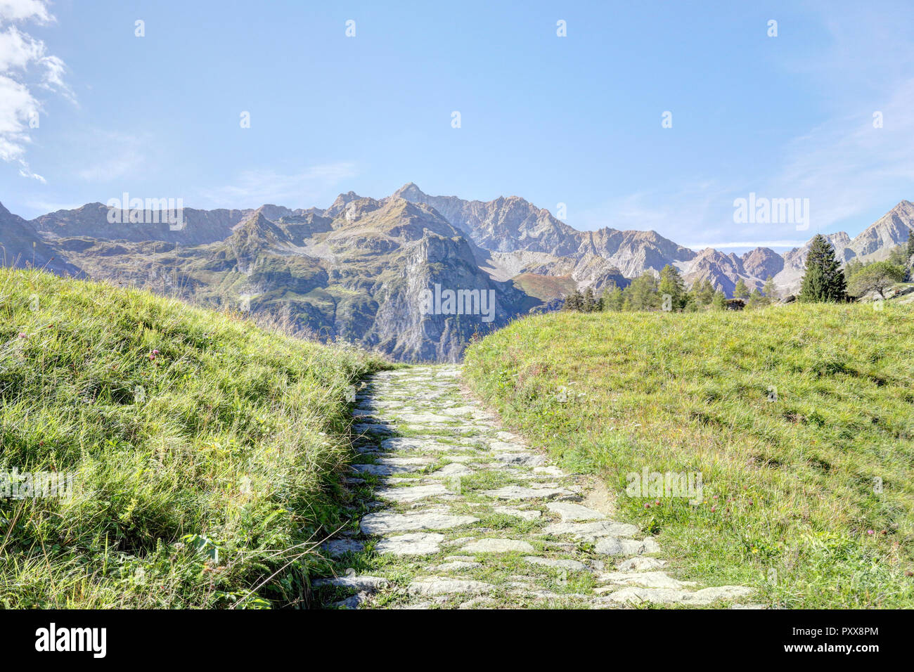 Ein gepflasterter Weg mit bewölktem Himmel, hohe Berge, Tanne und Kiefer Wälder und grüne Wiesen und Weiden im Val d'Otro, Region Piemont, Alpen, Italien Stockfoto