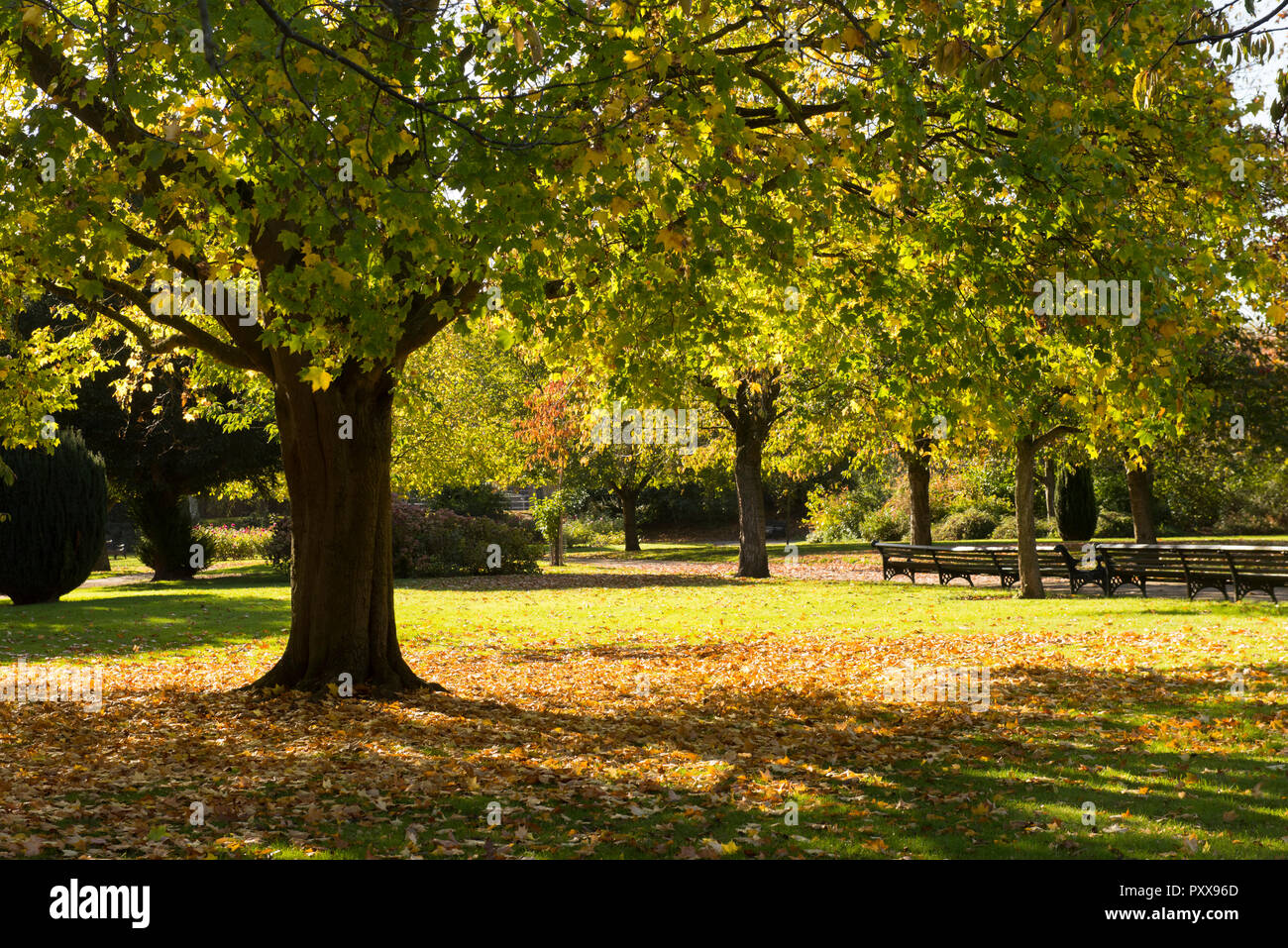 Sonnigen Tag am Victoria Embankment Memorial Park in Nottingham, Nottinghamshire England Großbritannien Stockfoto