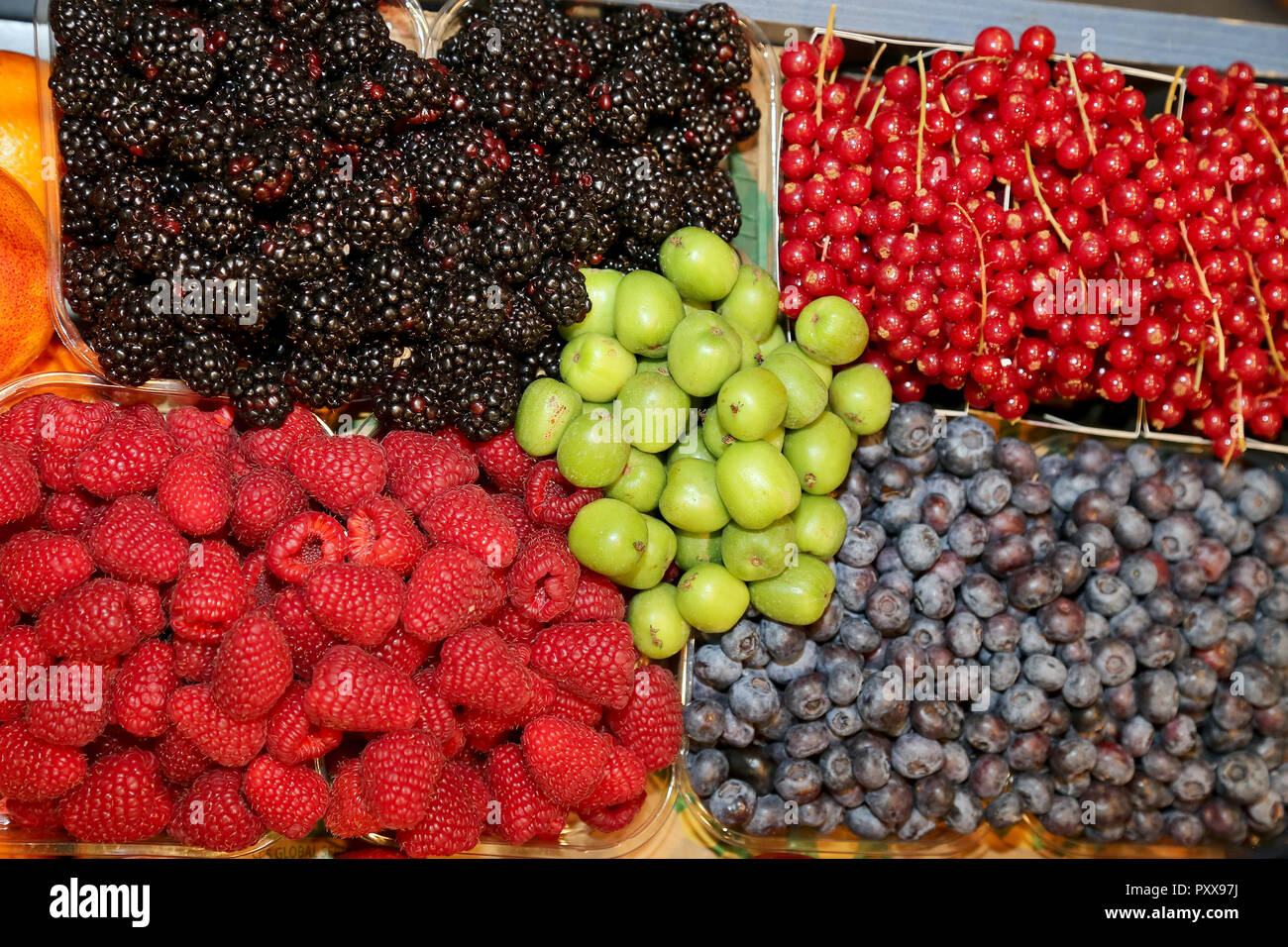 Hintergrund von frisch gepflückte Trauben, Preiselbeeren, Himbeeren, Johannisbeeren, Brombeeren, Stachelbeeren, Stockfoto