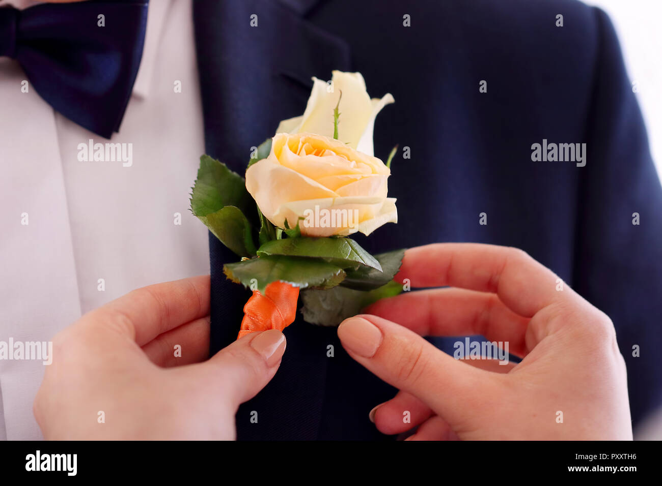 Braut pinning Die rosenanstecker auf Anzug Jacke von Hochzeit Bräutigam Stockfoto