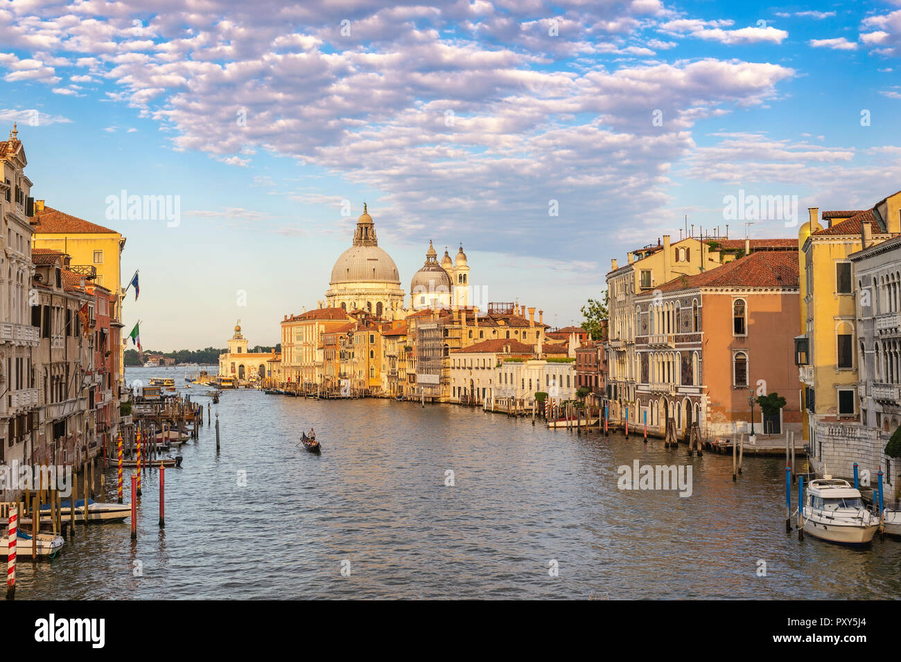 Venedig Italien, City Skyline am Grand Canal und der Basilika di Santa Maria della Salute Stockfoto