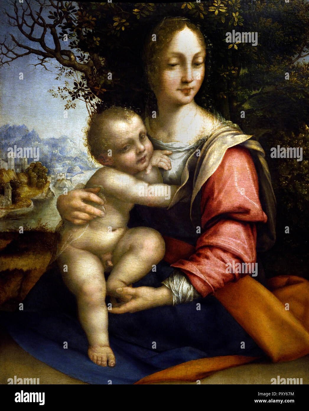 Madonna mit Bambino (Madonna dell'Albero) 1512 - 1520 von Cesare da Sesto 1477-1523 15./16. Jahrhundert, Italien, Italienisch. Stockfoto