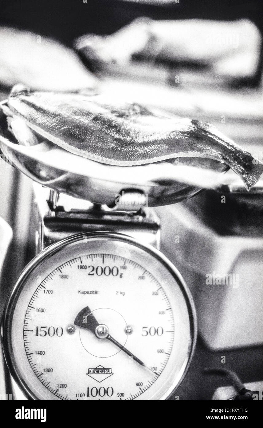 Kuechenwaage, s/w Stockfoto