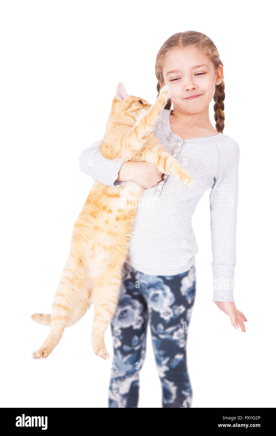 Süße kleine Mädchen mit einem rote Katze in den Händen. Studio Foto, auf weißem Hintergrund. Stockfoto