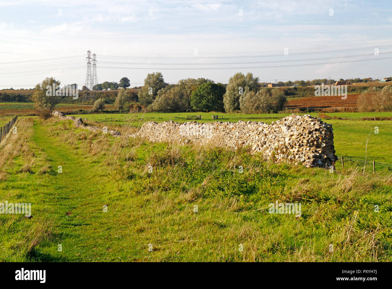 Ein Blick auf die Reste der Stadtmauer an der ehemaligen römischen Stadt Venta Icenorum an Caistor St Edmund, Norfolk, England, UK, Europa. Stockfoto