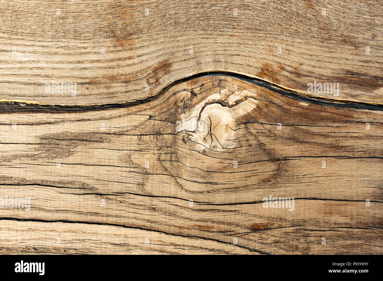 Detailansicht der rauhen, grunge Holz- Textur. Design Element oder Hintergrund Stockfoto