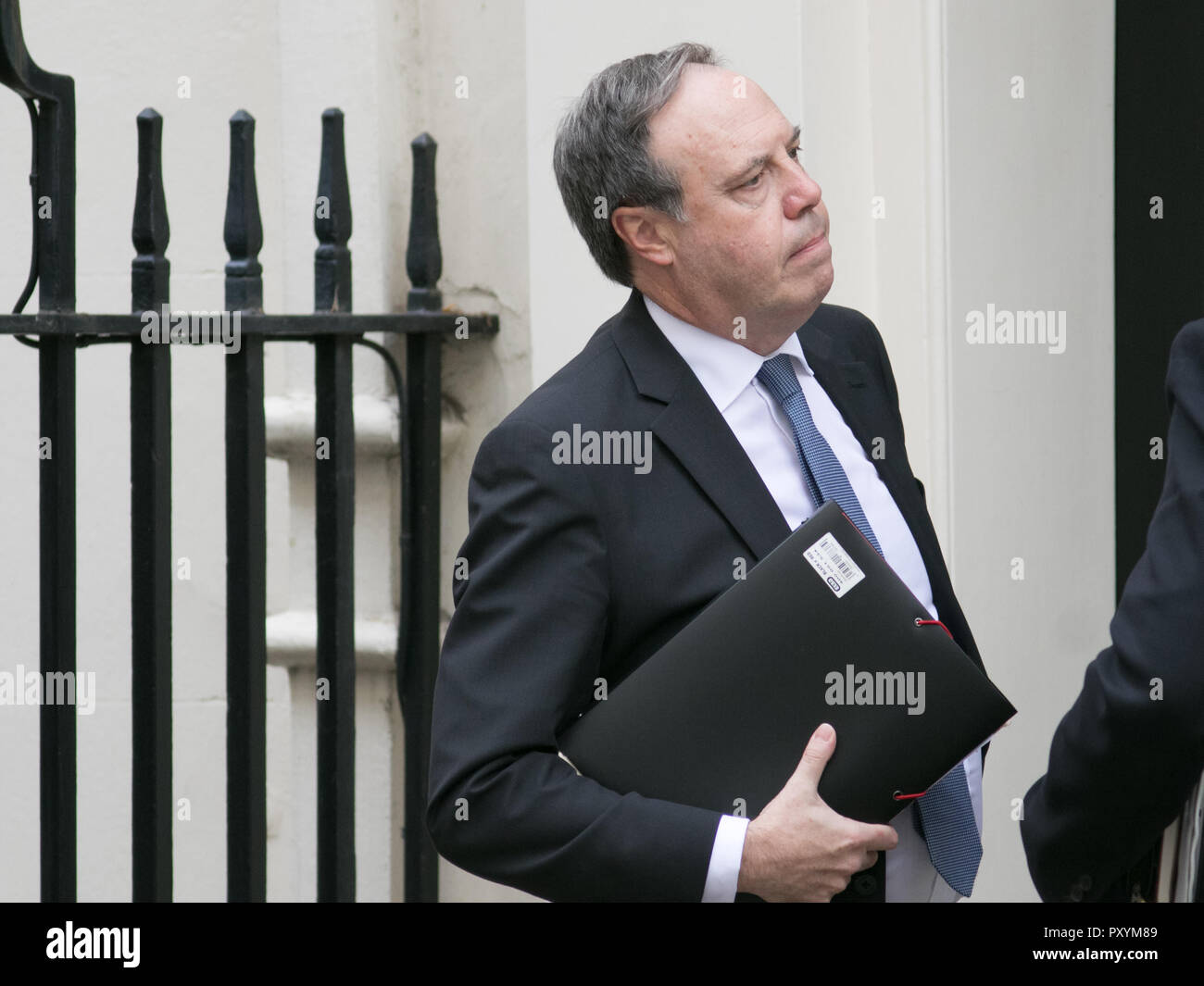 London, Großbritannien. 24 Okt, 2018. Nigel Dodds (R), der stellvertretende Chef der unionistische DUP Democratic Unionist Party, kommt in der Downing Street für ein Treffen mit dem Ministerpräsidenten Theresa können die laufenden Verhandlungen Brexit Credit: Amer ghazzal/Alamy Leben Nachrichten zu diskutieren Stockfoto