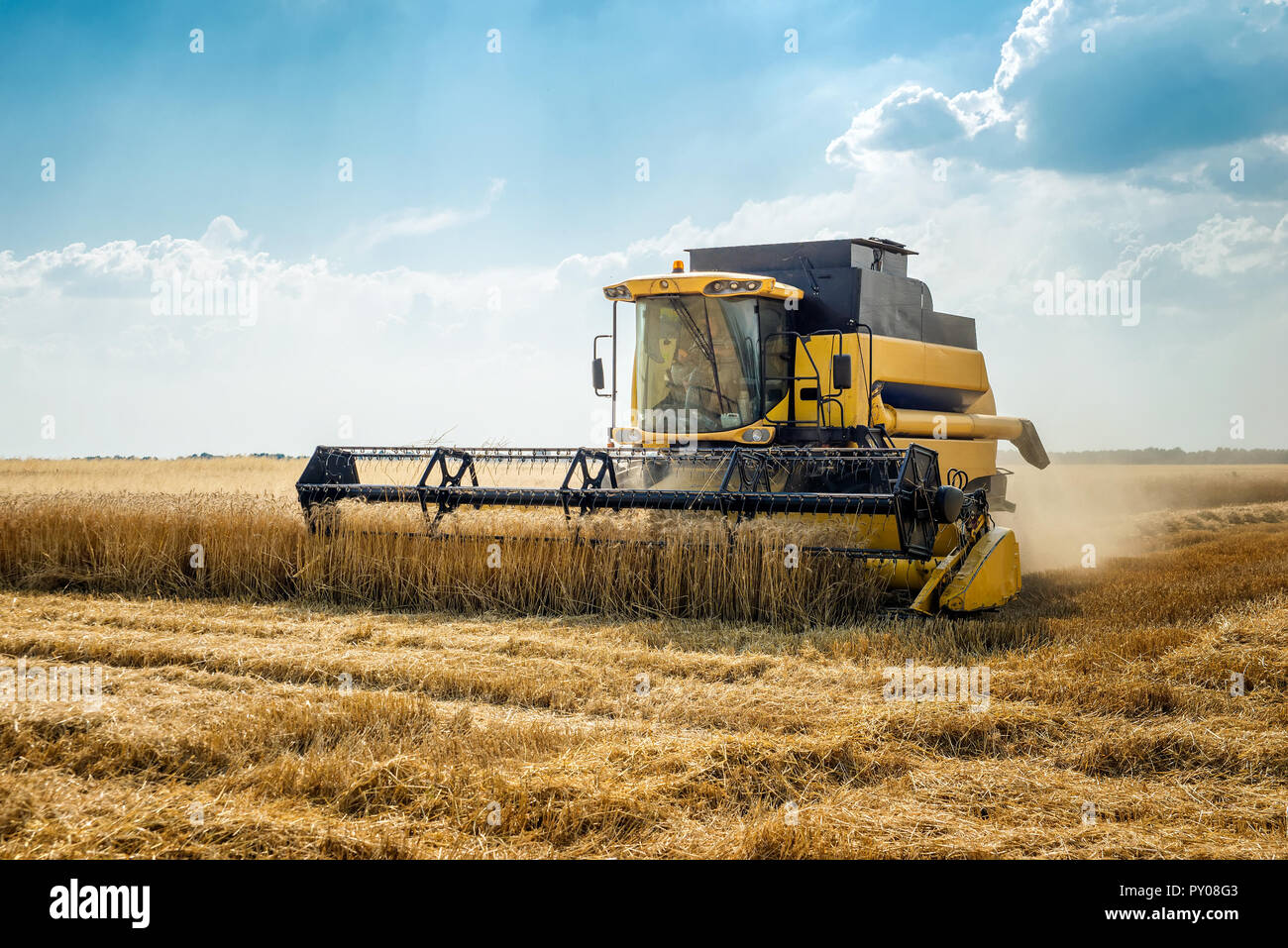 Feldhäcksler auf dem Gebiet Stockfoto