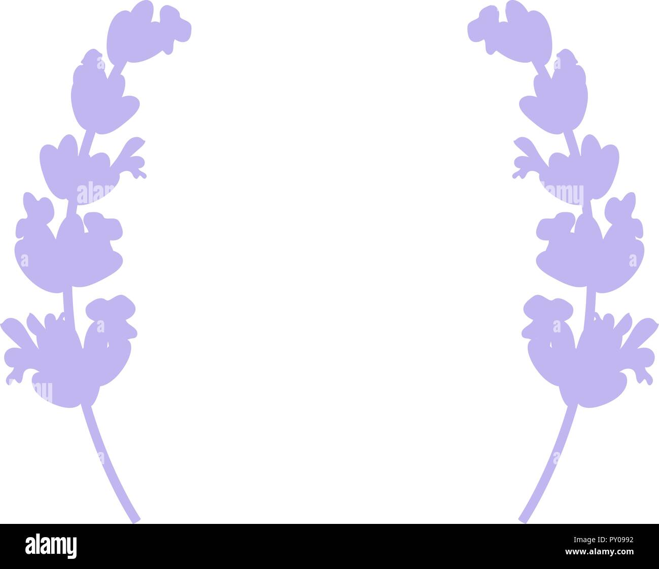 Lavendel Karte Mit Blumen Vintage Label Mit Lavendel Provence Violett Hintergrund Design Fur Health Care Produkte Naturkosmetik Beauty Shop Stock Vektorgrafik Alamy