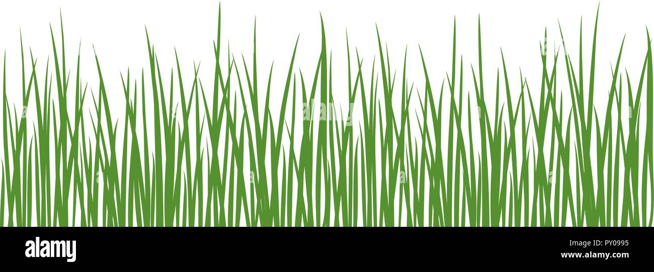 Gras detaillierte Silhouetten. Auf weiß isoliert. Kräuter Garten. Für web, Tapeten, Dekoration, Textilien, druckt Banner Verpackung Verpackung Stock Vektor