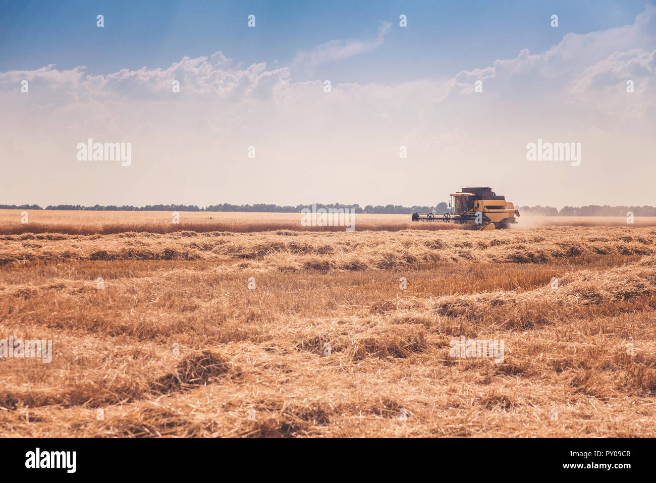 Feldhäcksler auf dem Gebiet Stockfoto