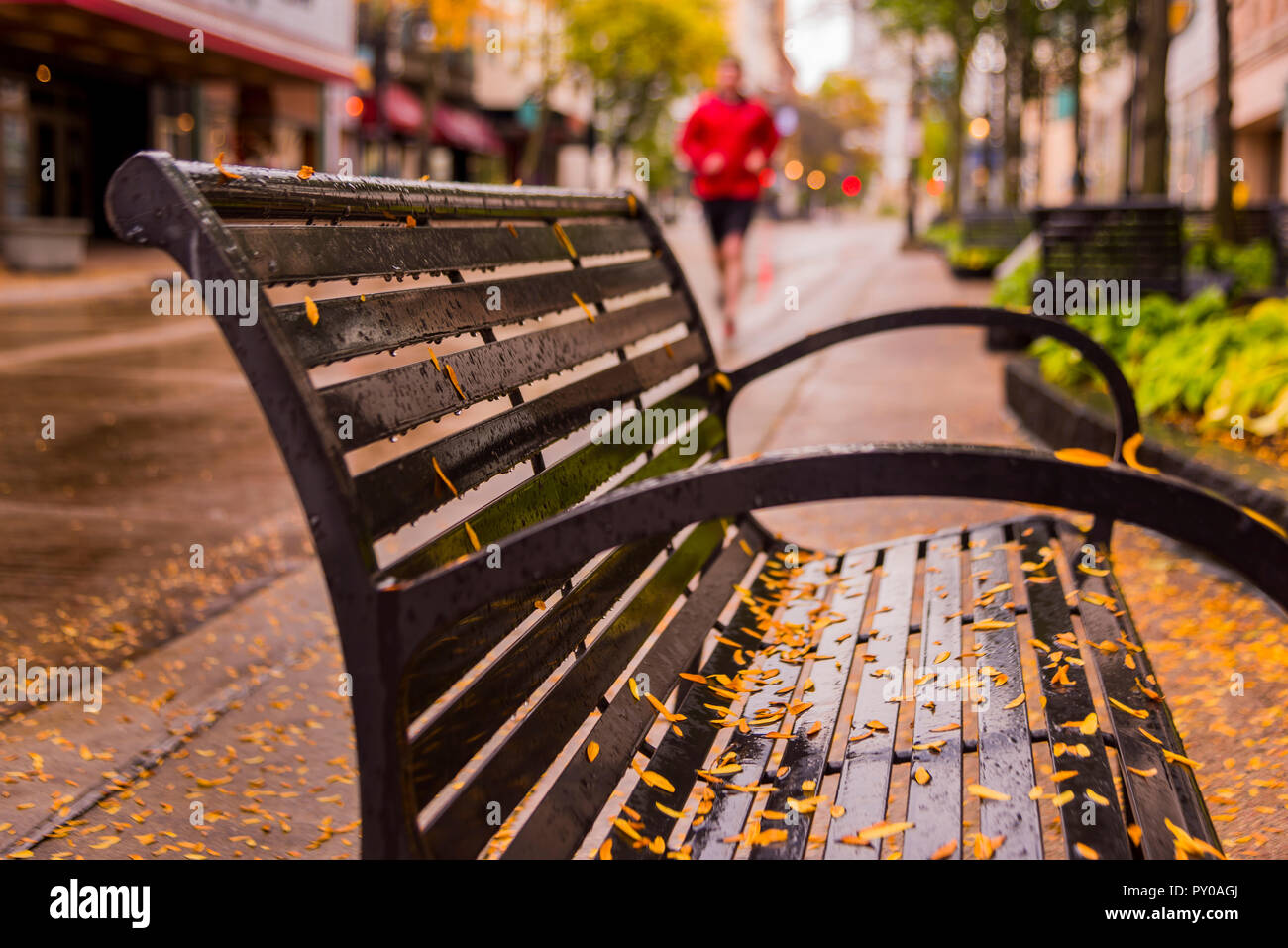 Regen- und Blatt überdachte Sitzbank Stockfoto