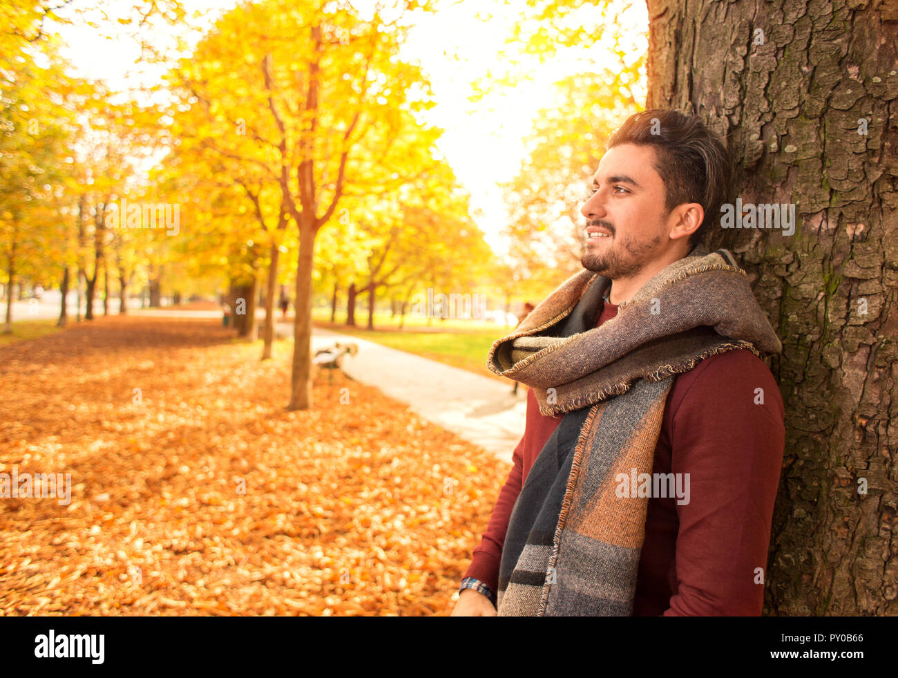 Schöner Mann lehnte sich an einem Baum in einem Park im Herbst während lächelnd Stockfoto