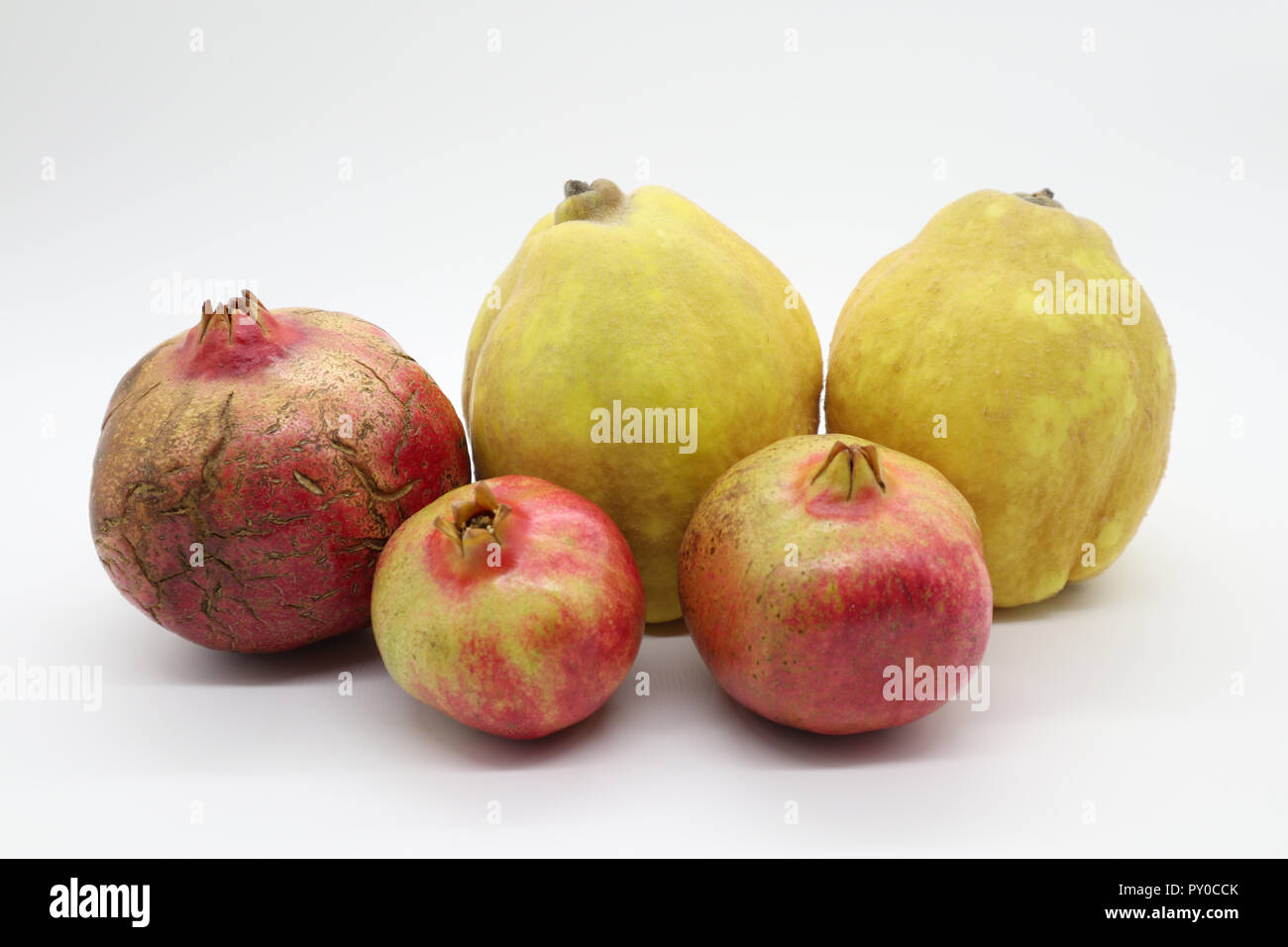 Obst lieferbar hochwertige Bilder für jeden Einsatz, frisch und saftig Stockfoto