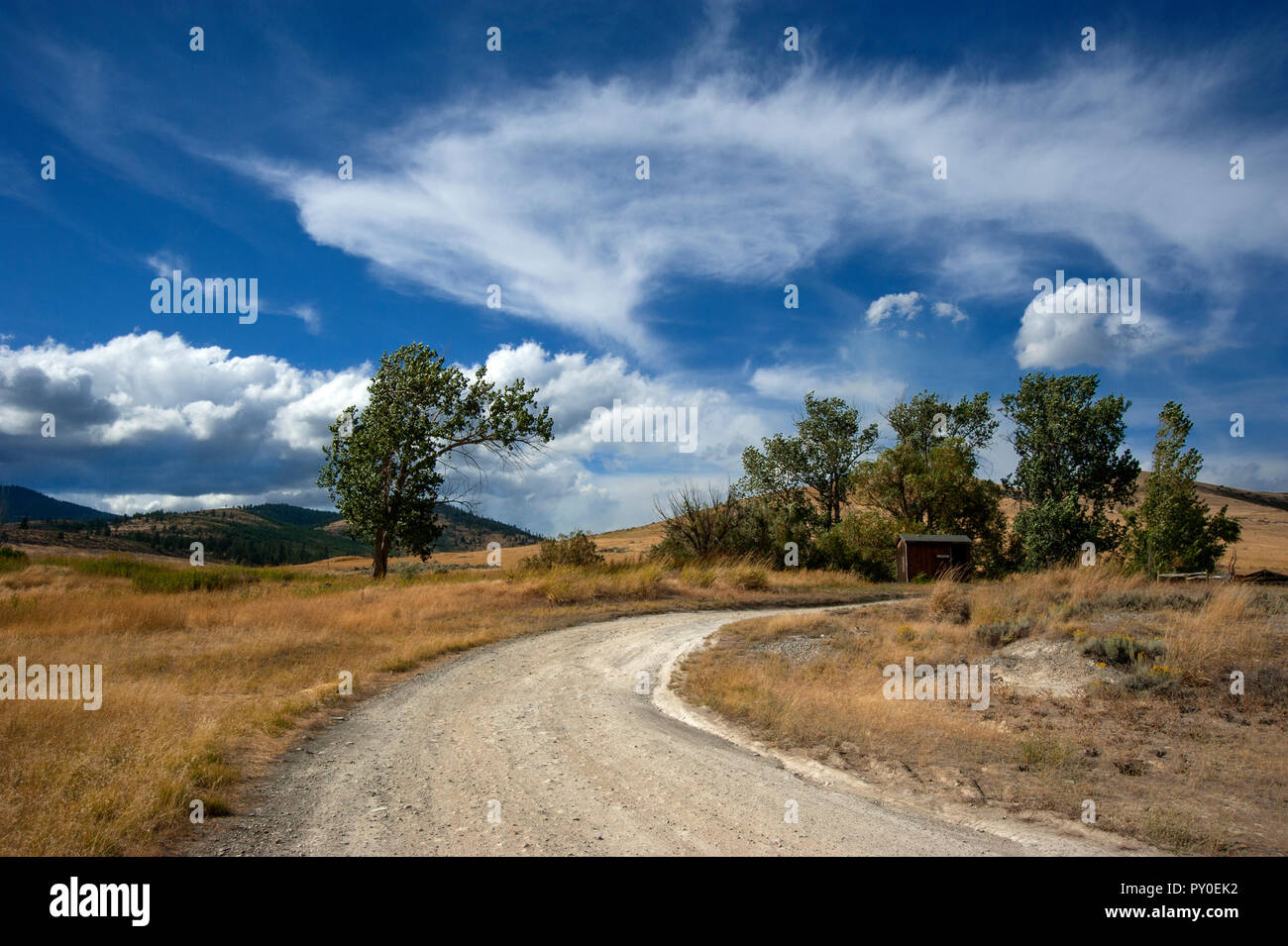 Country Road in der Nähe von Hot Springs, Montana Stockfoto