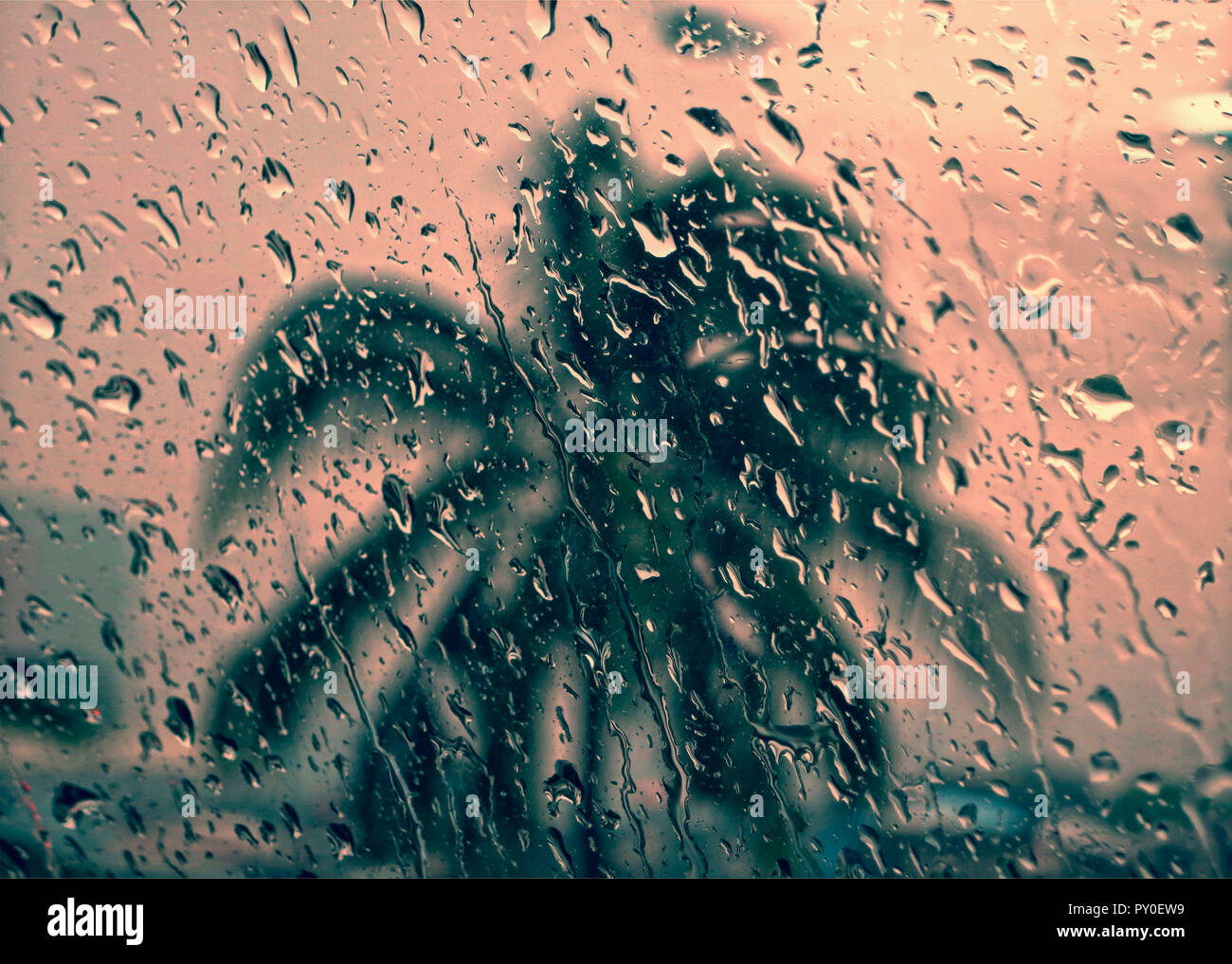 Unscharfer Blick auf Palmen bei Sonnenuntergang durch Fenster mit Regentropfen, Manila, Philippinen Stockfoto