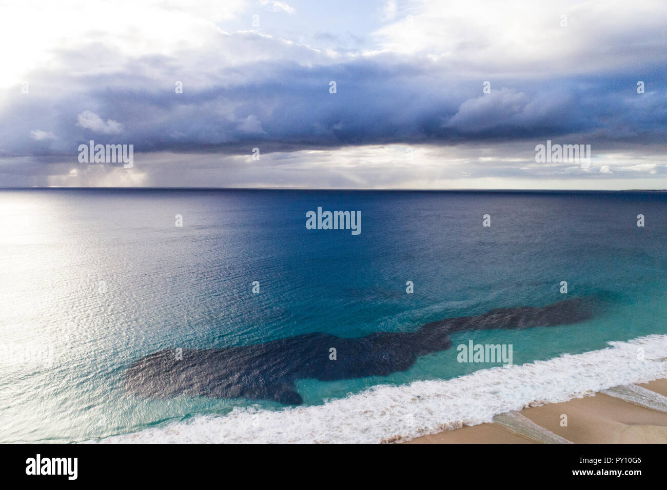 Luftaufnahme von einem Köder ball, Carnarvon, Western Australia, Australien Stockfoto