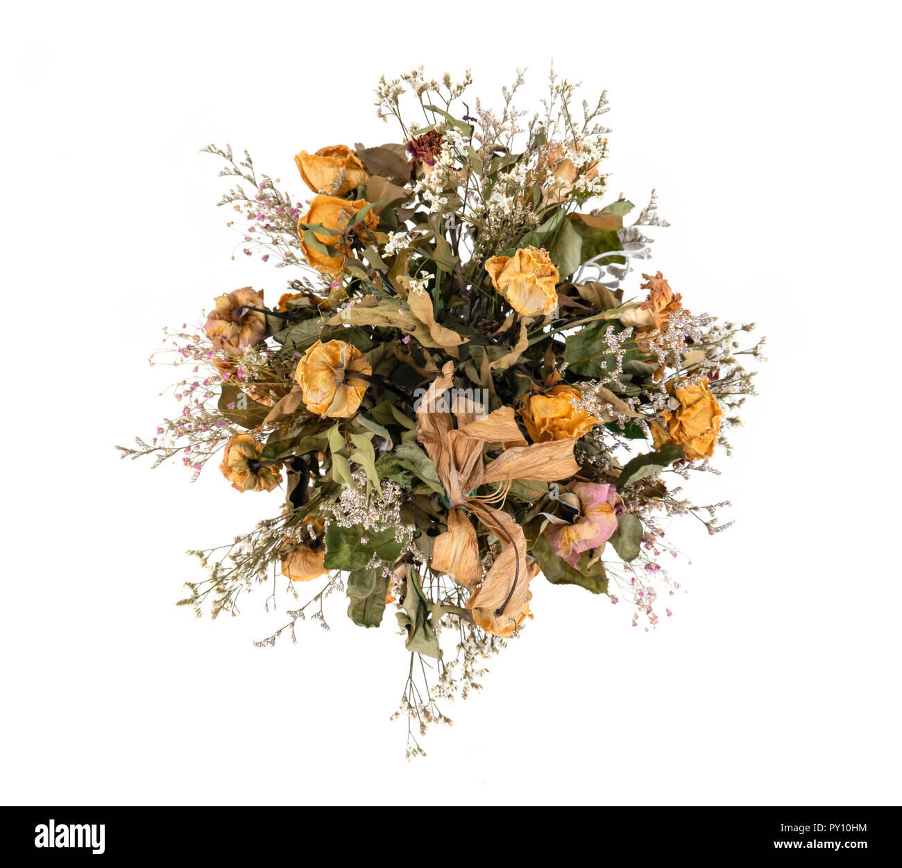 Getrocknete Blumen isoliert auf weißem Hintergrund Stockfoto