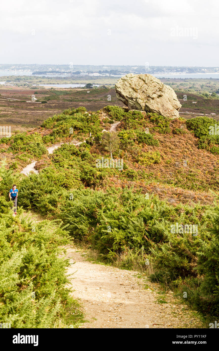 Agglestone Rock, in der Nähe von North, South Dorset Stockfoto