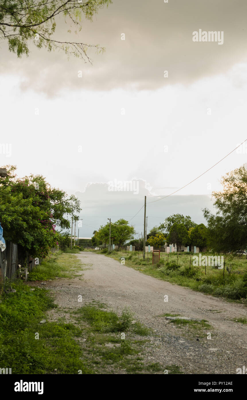 Dirt Road, die von grünen Blättern und wunderschönen Natur, den Hintergrund eines bewölkten Himmel, Straße des Glücks Konzept Stockfoto