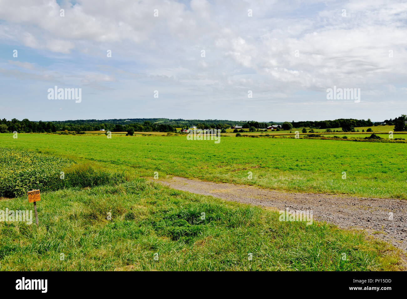 Ländliche Landschaft von Ackerland in der Finger Lakes Region des Staates New York, USA Stockfoto