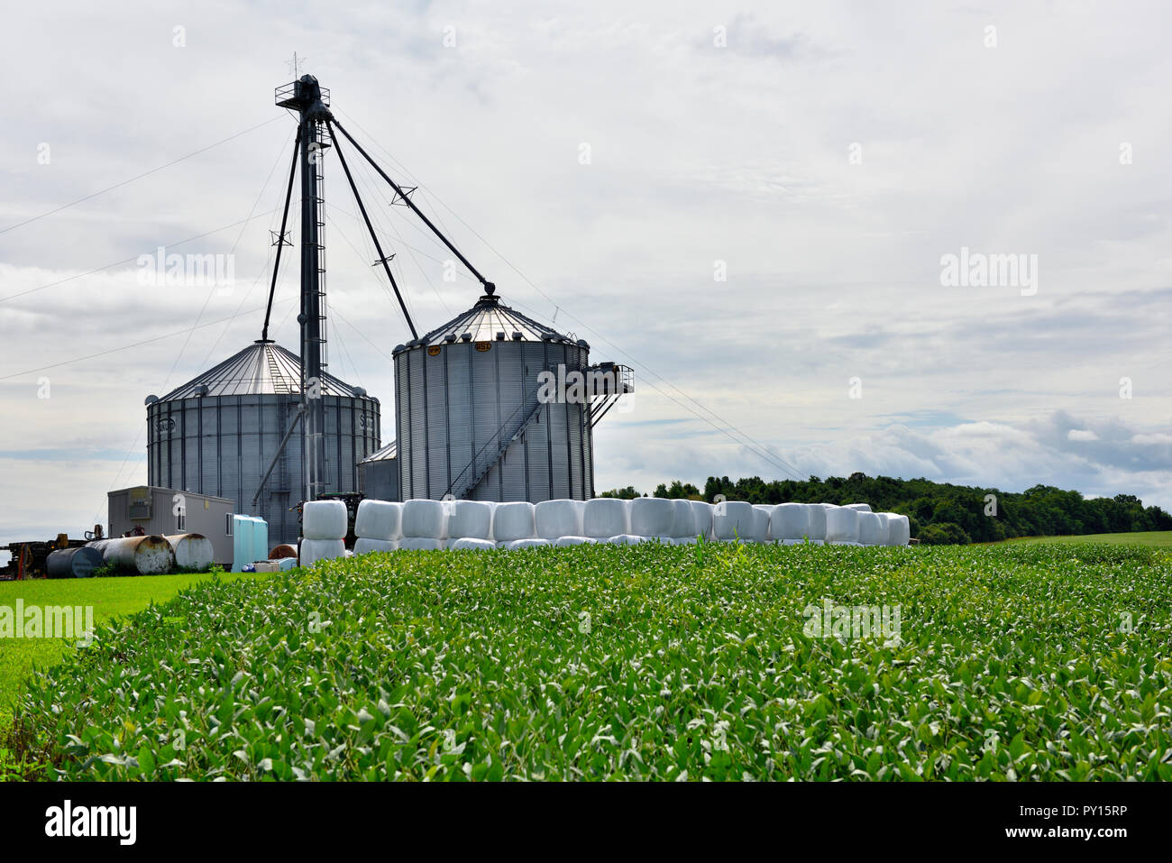 Getreidesilos in ländlichen Landschaft von Ackerland in der Finger Lakes Region des Staates New York in der Nähe von Bloomfield, USA Stockfoto