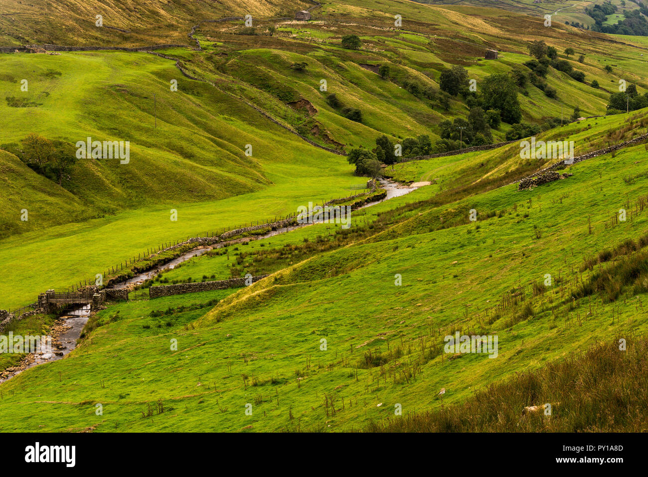 Landschaft mit grünen Wiese in Yorkshire Dale Stockfoto