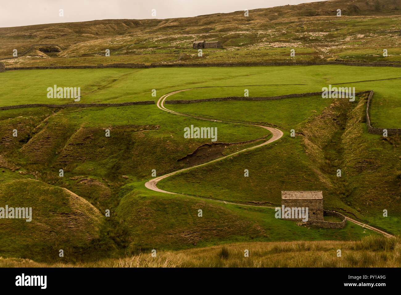 Landschaft mit grünen Wiese in Yorkshire Dale Stockfoto