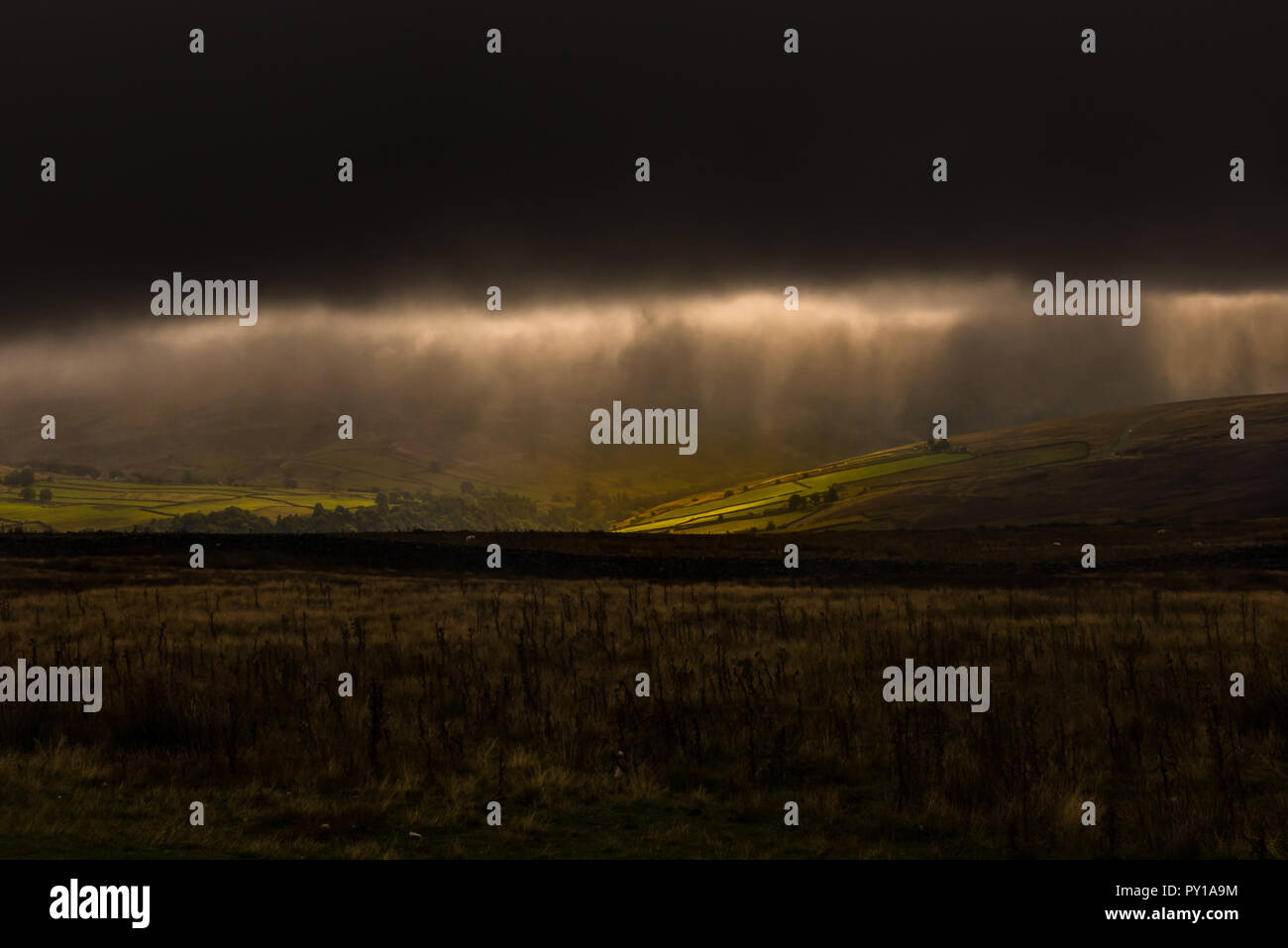 Landschaft mit grünen Wiese in Yorkshire Dale Stockfoto