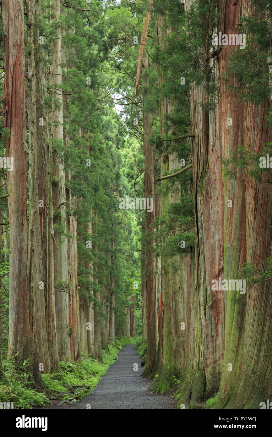 Präfektur Nagano, Japan Stockfoto