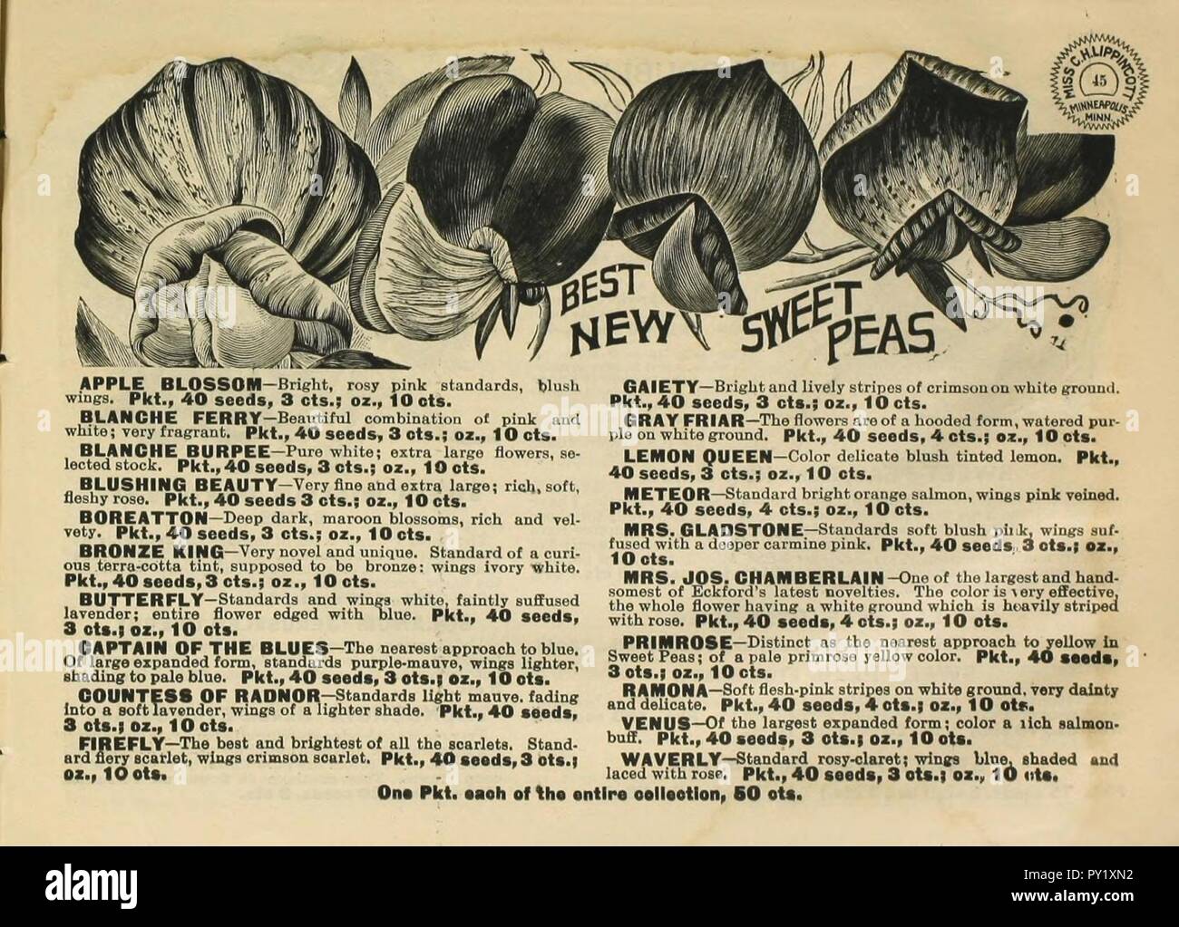 C.H. Lippincott (Hart) Materialien (Seite 45) Stockfoto