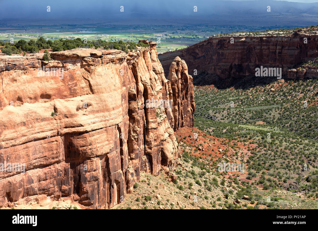 Blick in das Tal des Colorado National Monument Park, Colorado Stockfoto