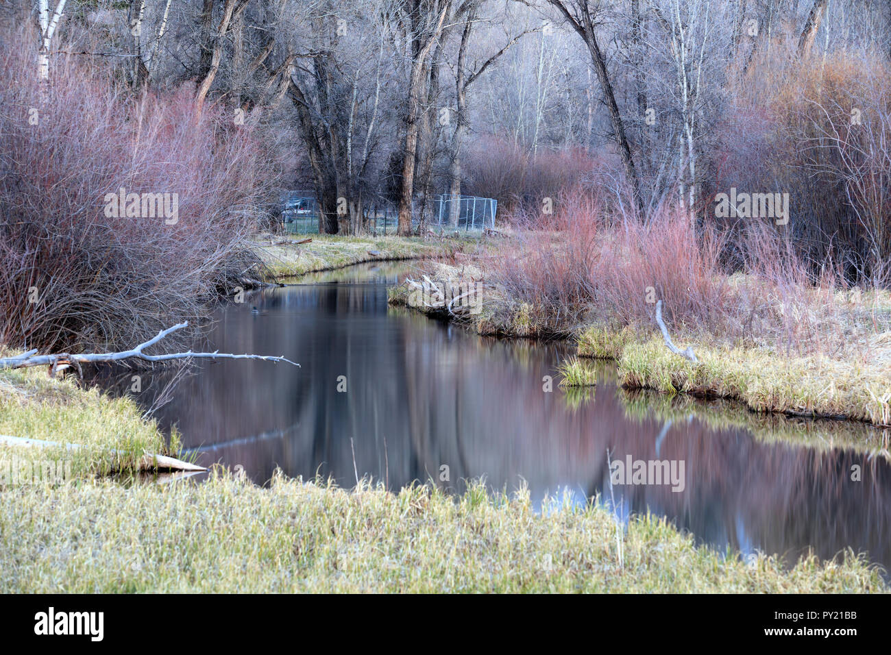 Abend Gunnison River, Gunnison, Colorado, USA Stockfoto