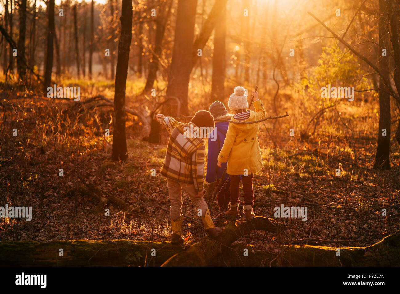 Drei Kinder beim Spielen im Wald, United States Stockfoto