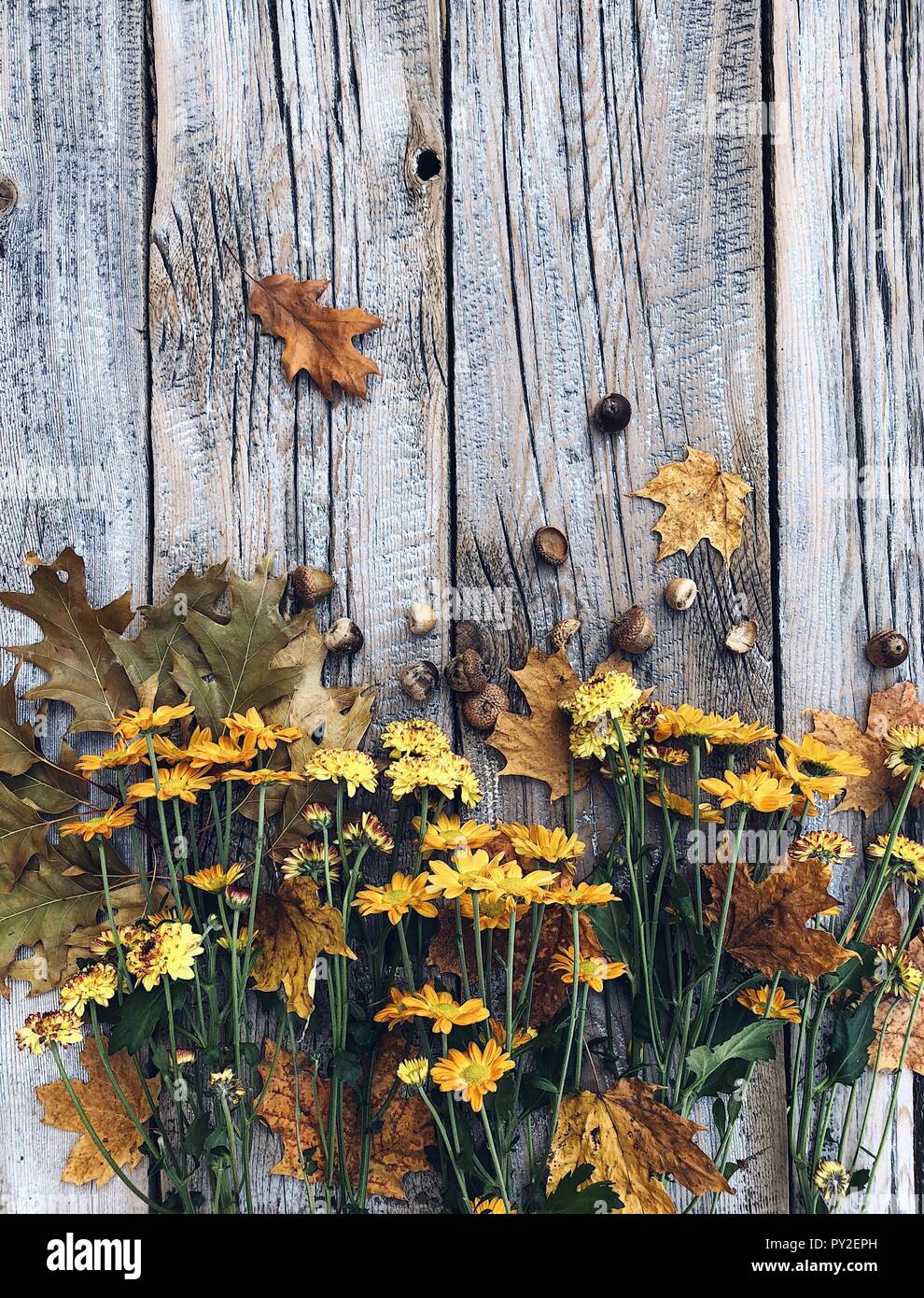 Herbst Blumen mit Eicheln und Blätter auf hölzernen Tisch Stockfoto