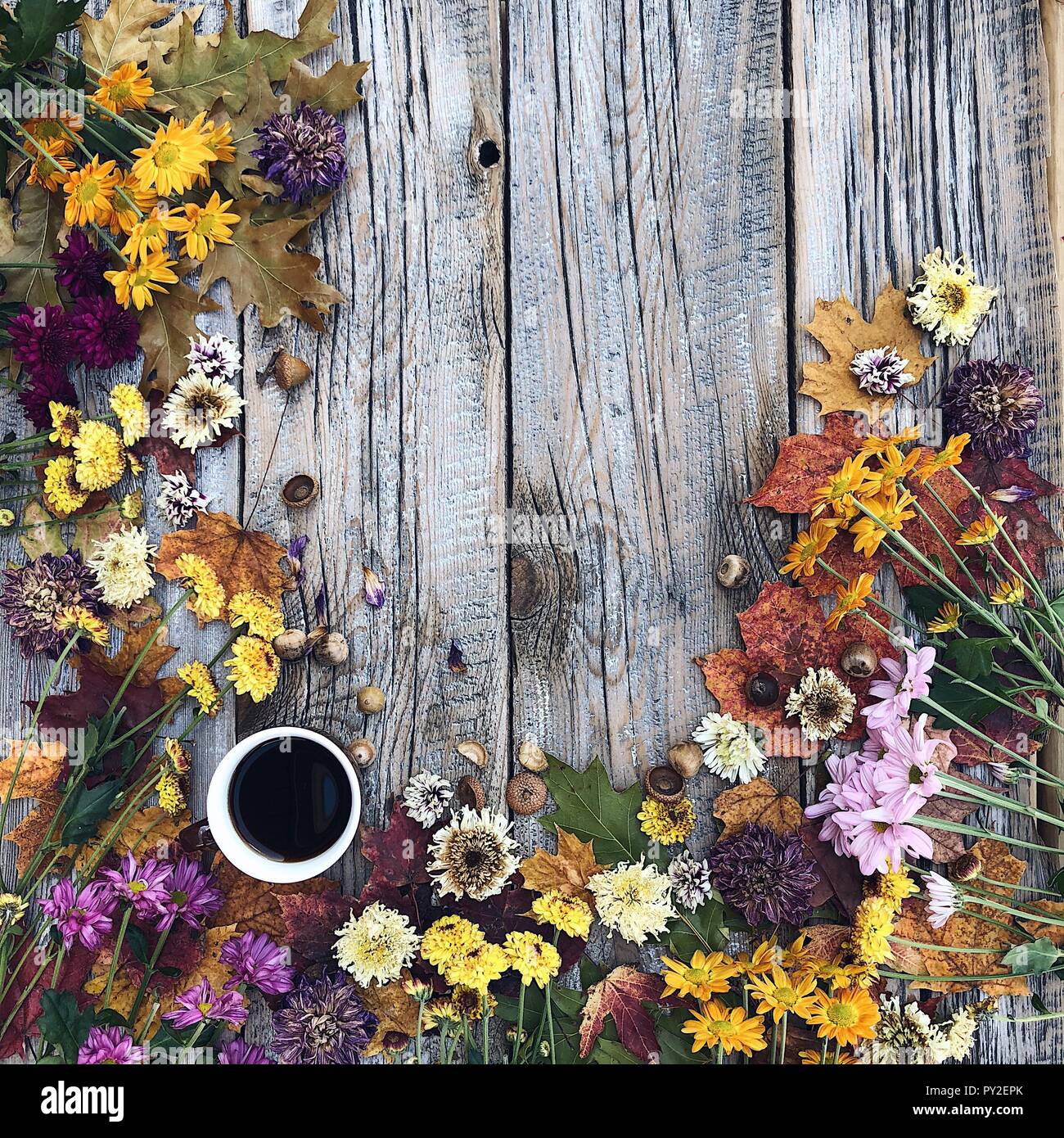 Tasse Kaffee und Herbst Blumen Stockfoto