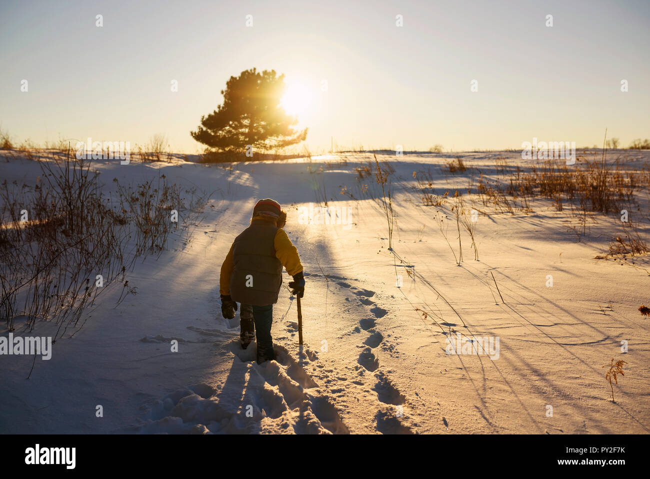 Junge zu Fuß durch ein Feld im Winter Schnee, United States Stockfoto